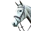 Collegiate Mono Crown Padded Raised Flash Bridle, Black, Cob