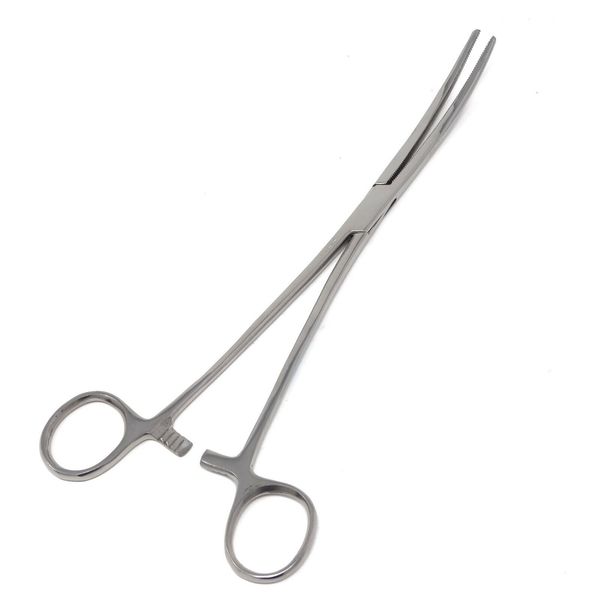 Hemostat Forceps Surgical Locking Clamps Dental Curved Instruments 10" Silver