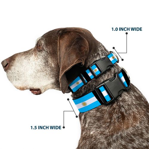 Buckle-Down PC-W30109-WL Argentina Flags Plastic Clip Collar, Wide Large/18-32"