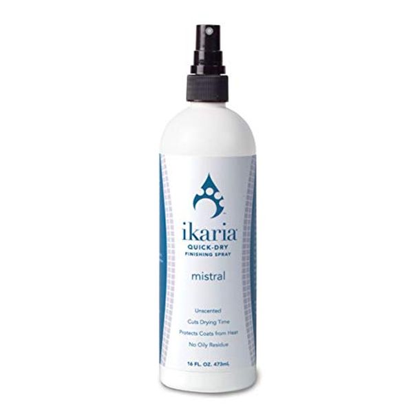 Ikaria Quick Dry Finishing Spray 16 oz