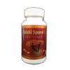 Reishi Spore II, 100 softgels