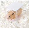 Gex Harmony Box Squirrel Toy for Hamsters and Small Animals