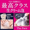 Biore The Face Moist Refill 11.5 fl oz (340 ml) x 2 Pack