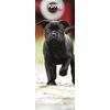 Puppies 2025 Slim Calendar