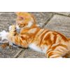 Catkins by Petface Sisal Mouse Cat Toy