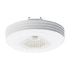 Doshisha Ozone Generator, Small Light, Pull Model, Motion Sensor, 60W, Daylight White, Luminous LED