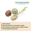 Naturaverde Black Henna Plant Paint 100g