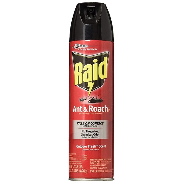 Raid Ant & Roach Killer Outdoor Fresh, 17.5 OZ (Pack - 1)