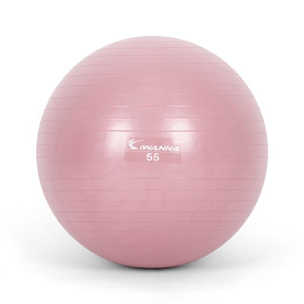 I Warner Anti-Burst Gym Ball 55cm Home Training Homet, Wild Pink