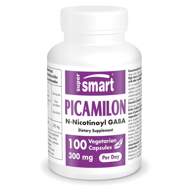 Supersmart - Picamilon 300 mg Per Day - Gamma-Aminobutyric Acid Supplements - with B3 Niacin for Stress Relief | Gluten Free - 100 Vegetarian Capsules