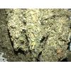 Marshmallow & Damiana Herbal Blend - 2 ounces