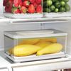 iDesign Large Fridge Produce Bin with Removable Drainage Tray and Lid - Gray