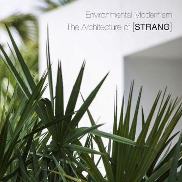 environmental modernism