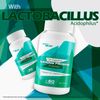 The Digestive Harmony Program Probiotic - Probiotics for Digestive Health