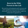 Nature's Sunshine Chewable Vitamin C 250mg 90 Tablets