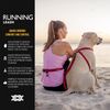 EZYDOG Road Runner Lead - Comfortable Padded Handle, Reflective Thread, 1.8M (Grey) for Small, Medium & Large Dogs