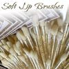 PMU and Microblading Aftercare Kit 25 Microbrush Applicators,Lip Brushes,Brushes