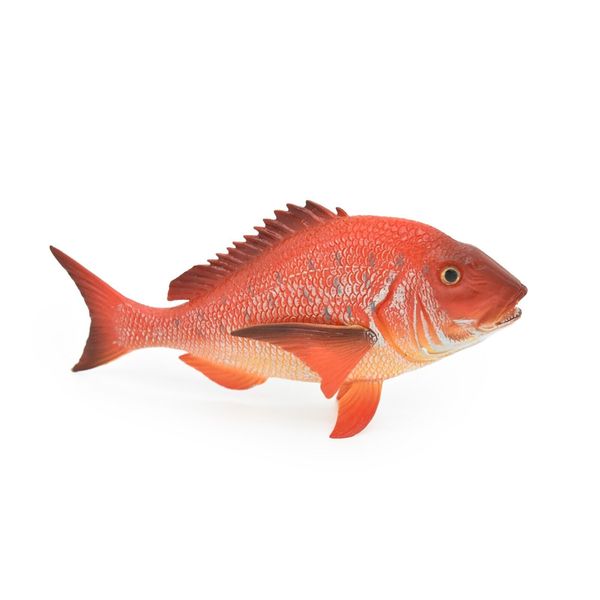 Red Snapper, Fish, Onaga, Rockfish, Realistic Rubber Model, Hand Painted Toy 7"