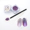 Chameleon Powder 3 Colors Set (168)
