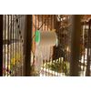 Polly's Fun Roll Bird Toy, Large