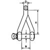 10mm Twisted Shackle - Forged - A4 (Marine Grade) Stainless - 2 Pack