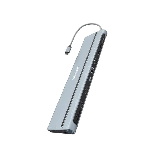 Canyon DS-90 USB 3.2 Gen 1 (3.1 Gen 1) Type-C Gris