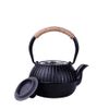 Nambu Ironware, Teapot, Tea Pot, Includes Tea Strainer, Iron Supplement, 19.7 fl oz (550 ml)
