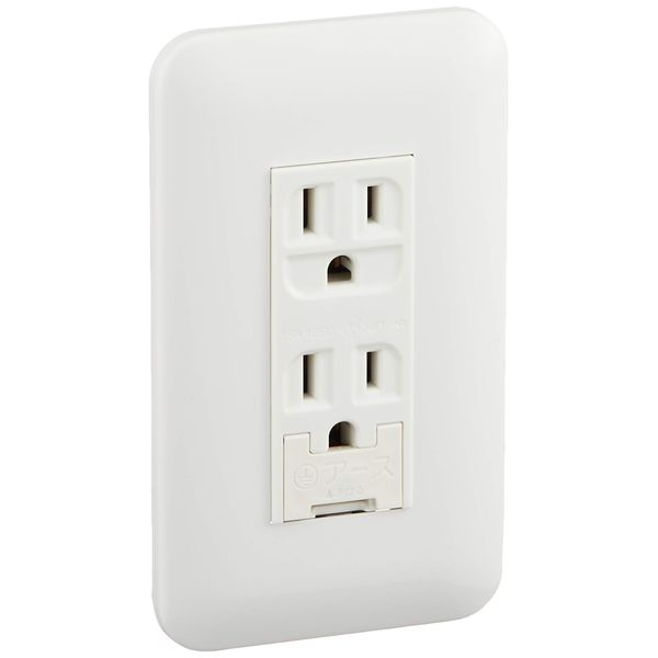 Panasonic WTP113238WP Wide 21 Embedded Ground Terminal with Double Outlet