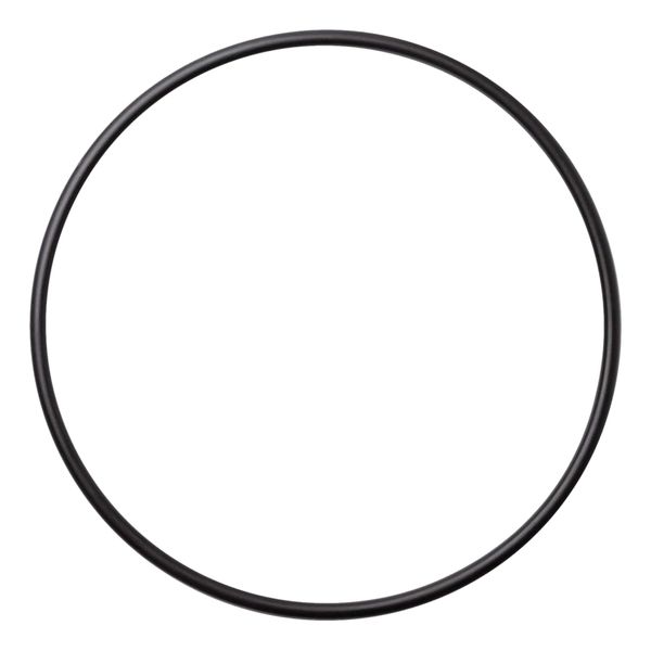 16920-0012 Strainer Lid O-Ring for Pentair Sta-Rite PKG 161 Suction Trap