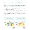 2e(Doe) Sunburn Protection for Sensitive Skin Hypoallergenic Formula Deep Moisturizing High Moisture Barrier 40g SPF50+ PA+++ Sunscreen 40g (x1)