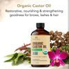 Botanic Hearth Castor Oil (2 fl oz) | USDA Certified Organic | 100% Pure & Hexan