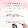 Hamster Brush Comb Toy (Comb x Brush Set)