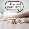 Zeal J226W Garlic Peeler, White