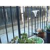 Solar Garden LED Light Lily Flower (2 pcs)