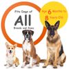 Ultrasonic Anti Bark Control Stop Barking Away Repeller Devices Pet Dog Training