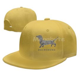 Graphic Baseball Dachshund Hat – The Doxie World