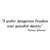 CafePress Dangerous Freedom Rectangle Sticker Rectangle Bumper Sticker Car Decal