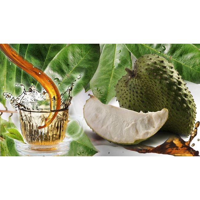 Graviola Soursop Fruit Powder (10:1 Extract) 1.1 lb Muricata  Guanabana Annona