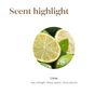 Young Living Lime Essential Oil - Lively, Refreshing, Citrus Aroma - Uplifts The Senses - 15 ml