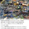 DAIWA Trout Silver Creek Minnow Lure