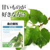【リプサ公式】 桑の葉粒 約3か月分×2袋 T-665-2