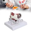 Human Eye Anatomical Model, Multi Parts Educational Tool with ABS, for Science Education, Student Learning, Display