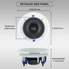Herdio 6.5" In/outdoor Bluetooth Waterproof Ceiling Speakers + Wall Amplifier