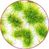 Green Stuff World Martian Tufts - Fluor Grinch Green