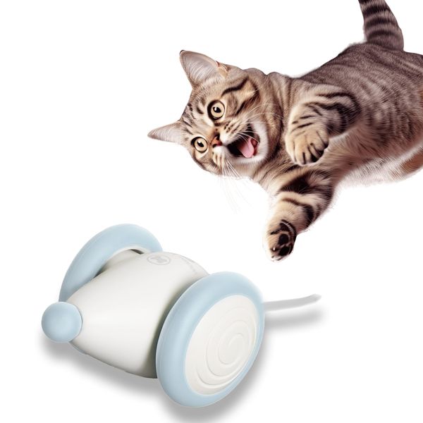 Cat Theater Cat Toy 2024 Edition Mouse Wicked Mouse Plus Play Alone USB Charging Cat Prank Friend (Blue)