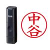 Plus Name seal name Cube 中谷 , blk