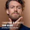 2 Pack - King C. Gillette Beard Oil for Men - Argan Moisturize and Soften Beard