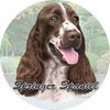 ES Pets Absorbent Stoneware Car Cup Holder Coaster, Springer Spaniel