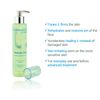 Quintessence Green Tea Toner 6.75 oz/200 ml