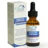 Clinic2Home Hyaluronic Serum (30ml) - Moisturising Hyaluronic Serum Smooths Wrinkles, Strengthens Collagen & Gives a Fresh Complexion.